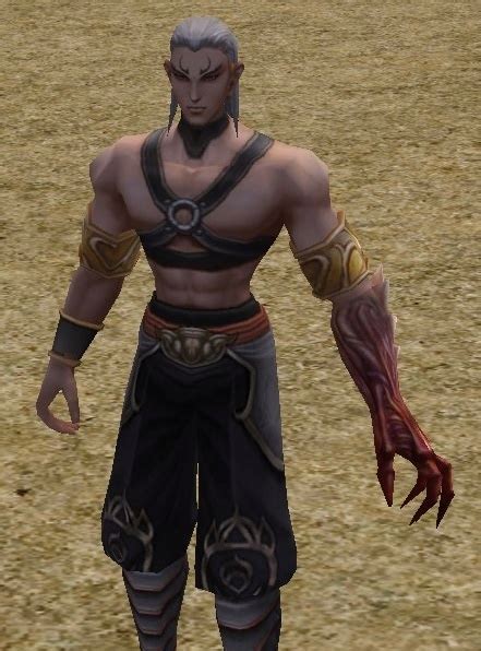 metin2 sura wp.